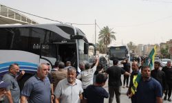 النقل تعلن بدء التفويج العكسي من كربلاء بمشاركة أكثر من 100 حافلة